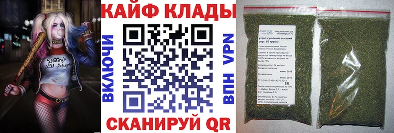 Виды наркотиков купить Лодейное Поле Псилоцибиновые грибы КОКАИН