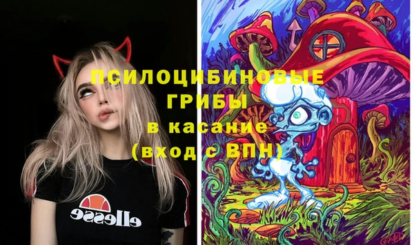 дмт Вязьма